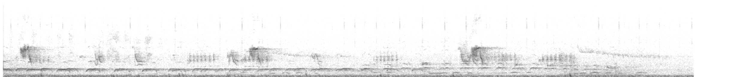 Schwarzschwanz-Lärmvogel - ML203936211
