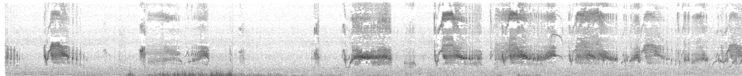 Пісочник маорійський (підвид aquilonius) - ML203936651
