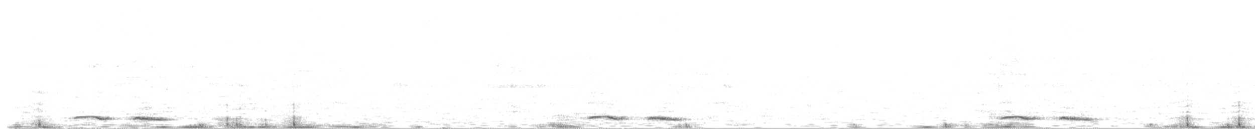 Nínox Maorí - ML203936781