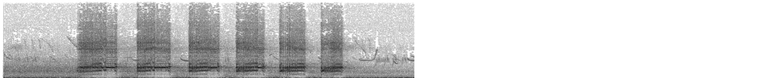Swainson's Spurfowl - ML203936971