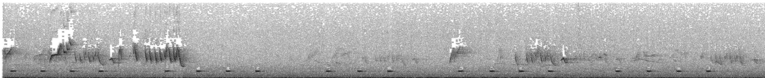 Goldbürzel-Bartvogel [bilineatus-Gruppe] - ML203937341