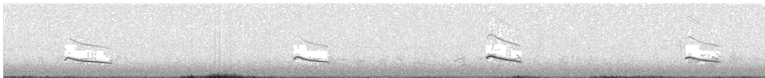 sjakalvåk - ML203937441