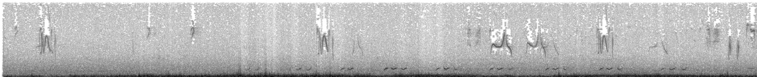 Yellow Canary - ML203937491