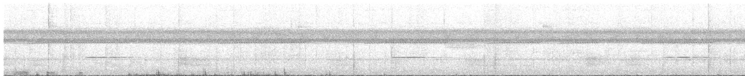 Kara Başlı İlladopsis (cleaveri/johnsoni) - ML203937581