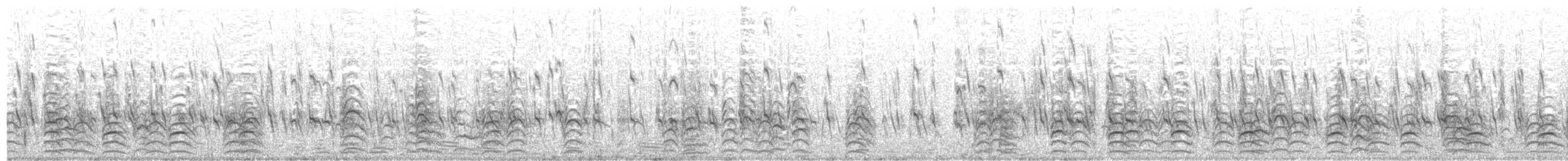 Weißgesicht-Stelzenläufer - ML203938061