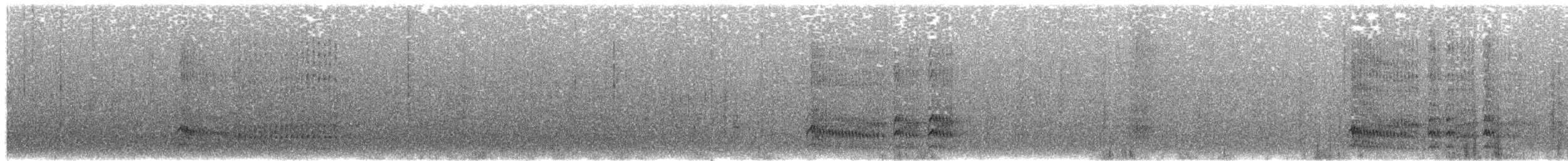 Дятлик акацієвий (підвид bennettii) - ML203938391