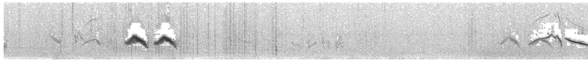 Жайворонок криводзьобий (підвид brevirostris) - ML203938441