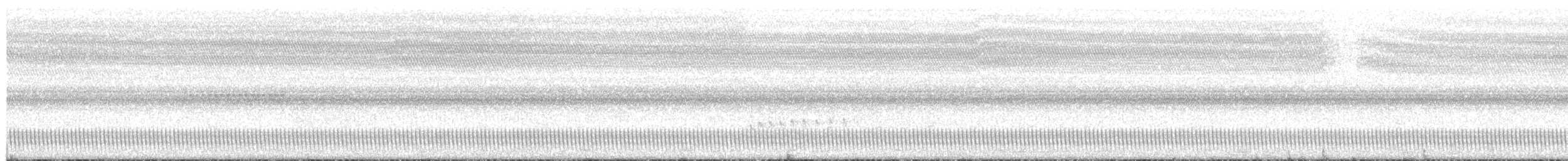 Long-tailed Nightjar - ML203939221