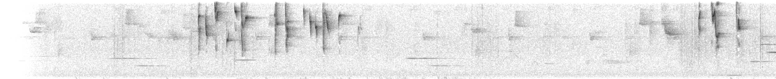 Black-cheeked Warbler - ML203939491