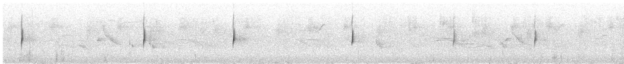 Black-capped Flycatcher - ML203939511