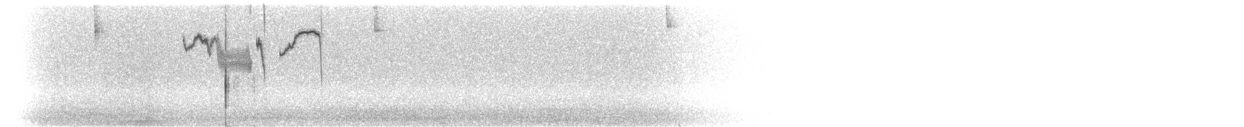 Volcano Hummingbird (Heliotrope-throated) - ML203939531