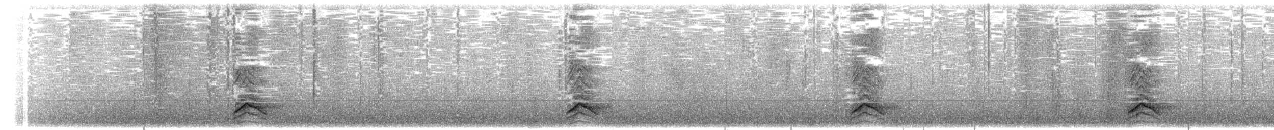 Tinamou à capuchon - ML203940161