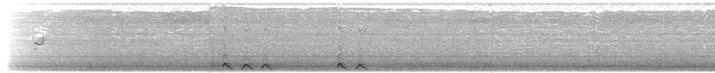 Freckled Nightjar - ML203940191