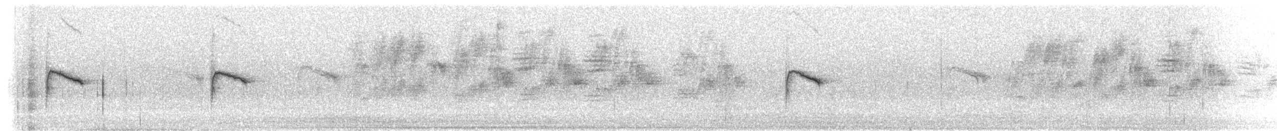 Timberline Wren - ML203941551