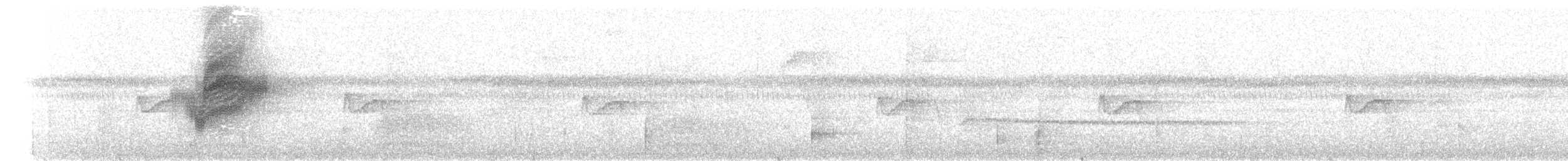 シロボウシマイコドリ（anthracina） - ML203941651