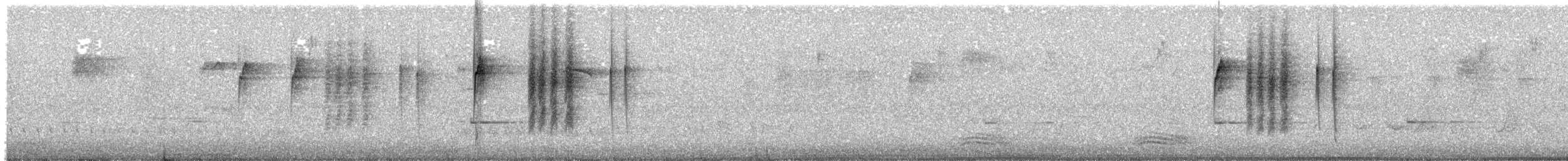 Brown Thornbill - ML203941771