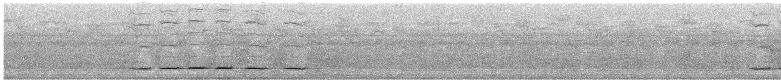 Streak-chested Antpitta (Pacific Slope) - ML203944241