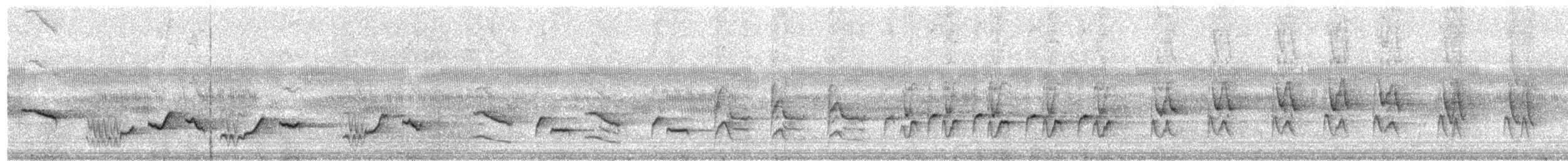 Weißbauch-Erddrossling - ML203944301