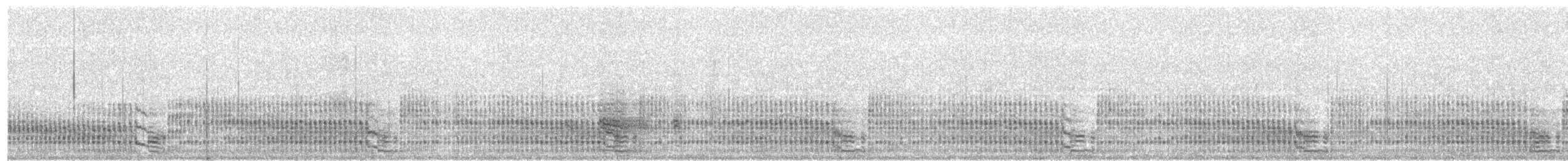 Качурка морська (підвид pelagicus) - ML203944321