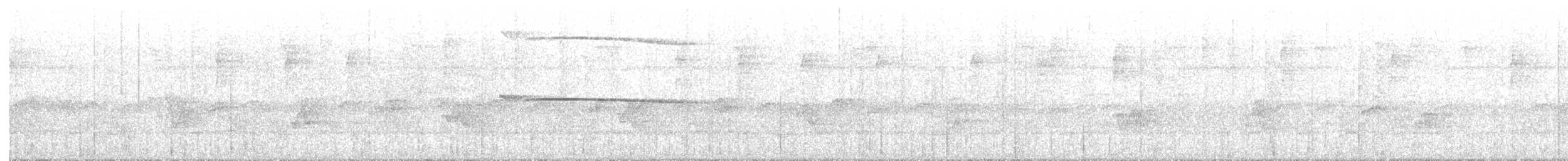 Broad-winged Hawk (Caribbean) - ML203944471