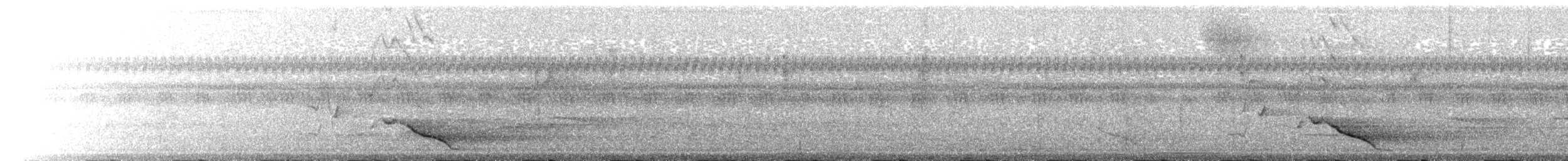svartnakkepirol (frontalis gr.) - ML203944491