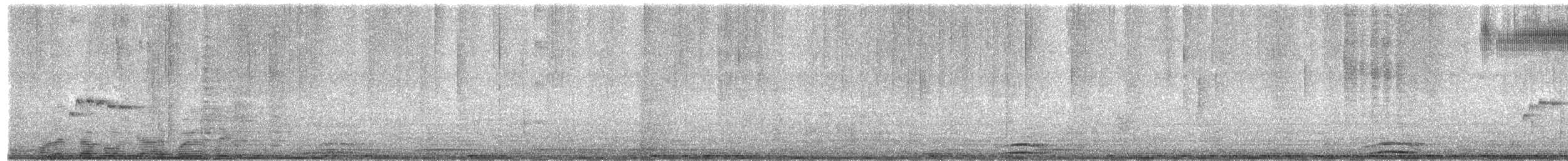 Bee Hummingbird - ML203945901