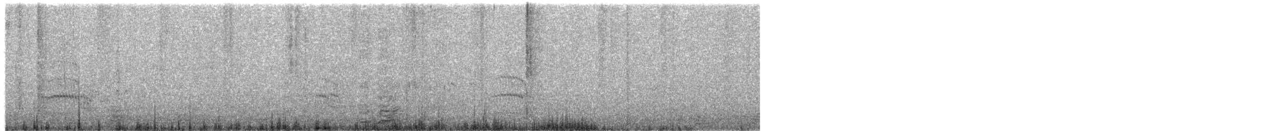 Common Tern (longipennis) - ML203947381