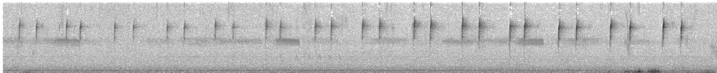 Zitting Cisticola (Double Zitting) - ML203947491