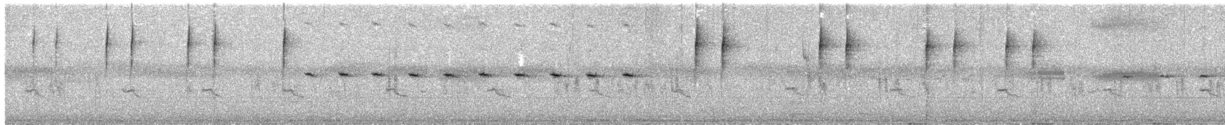 Zitting Cisticola (Double Zitting) - ML203947501