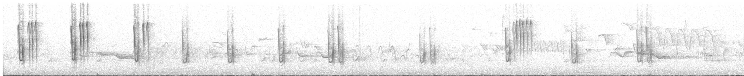 spettmeis (europaea gr.) - ML203947681