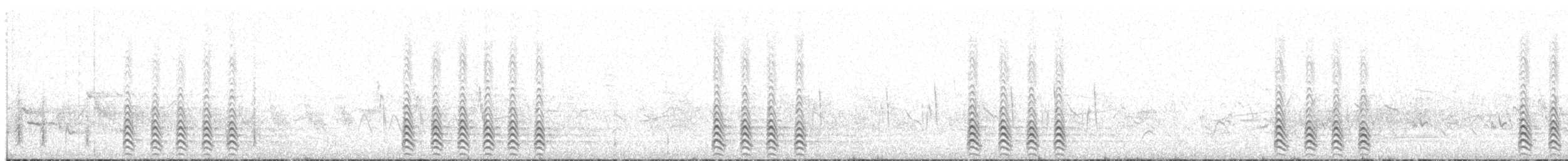 Lesser Black-backed Gull (intermedius) - ML203947851