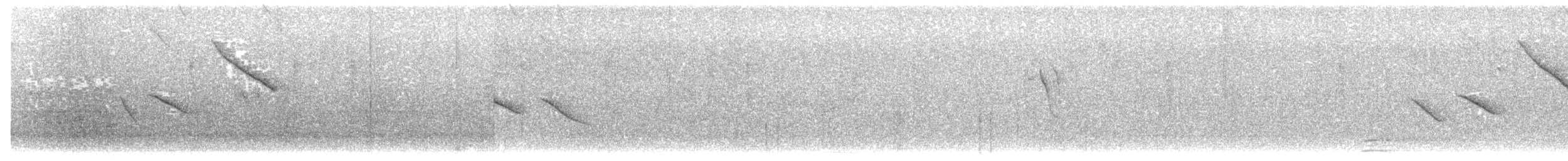 Serin d'Abyssinie - ML203948371