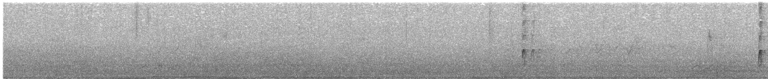 strakapoud bělohřbetý [skupina leucotos] - ML203948971
