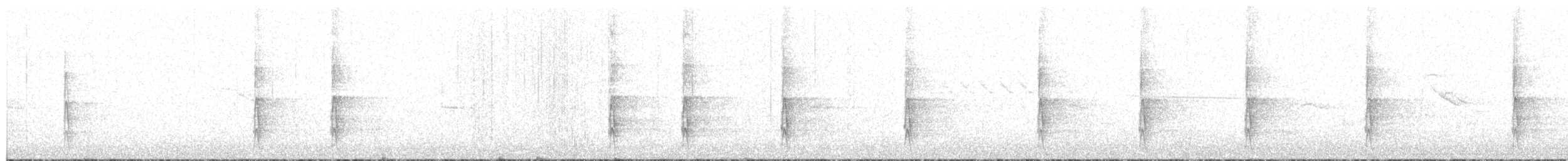 strakapoud velký [skupina major] - ML203949341