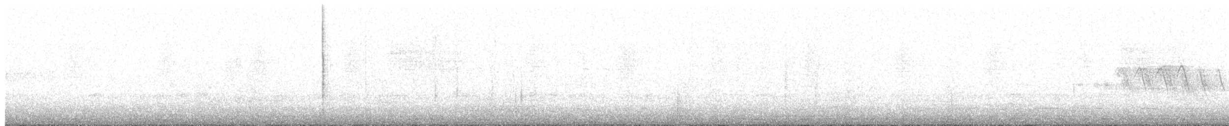 Горихвістка чорна (підвид gibraltariensis/aterrimus) - ML203949491