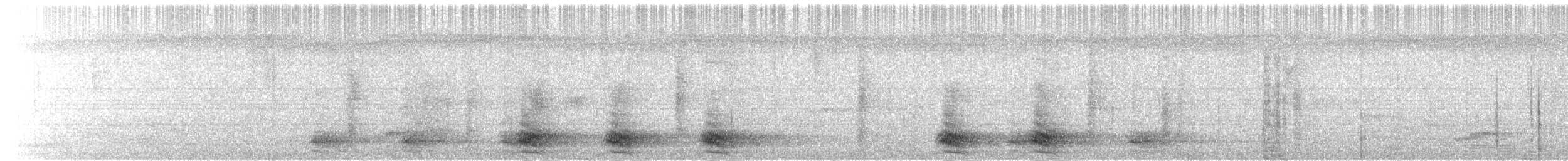 Corbeau à gros bec (culminatus) - ML203949681