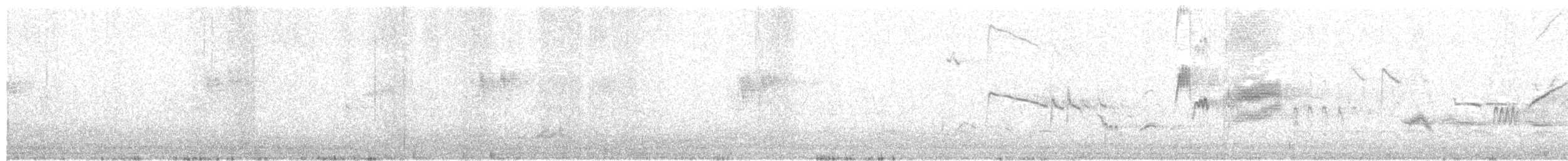 blåtrost (pandoo) - ML203950521
