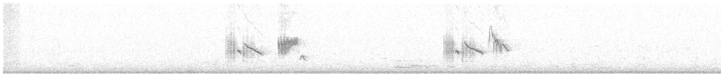 steinskvett (oenanthe/libanotica) - ML203950851