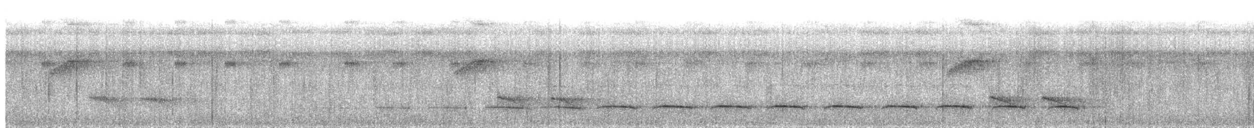 Schwarzkehl-Ameisenwürger - ML203951211