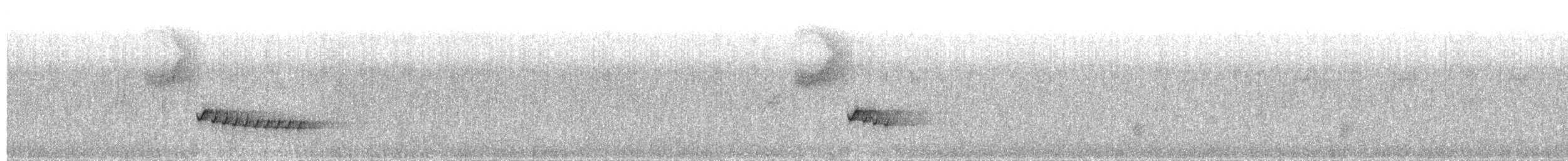Troglodyte à poitrine blanche - ML203951221