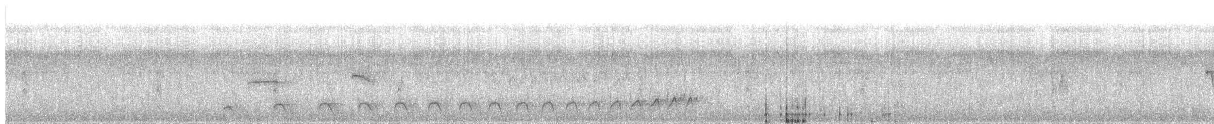 svarttoppmaurvarsler (canadensis gr.) - ML203951271