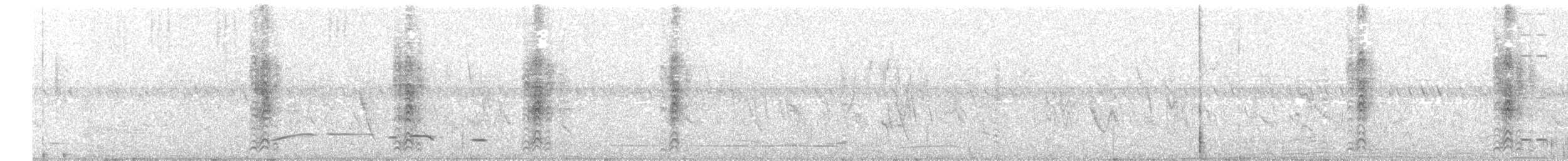 White-rumped Babbler - ML203951471