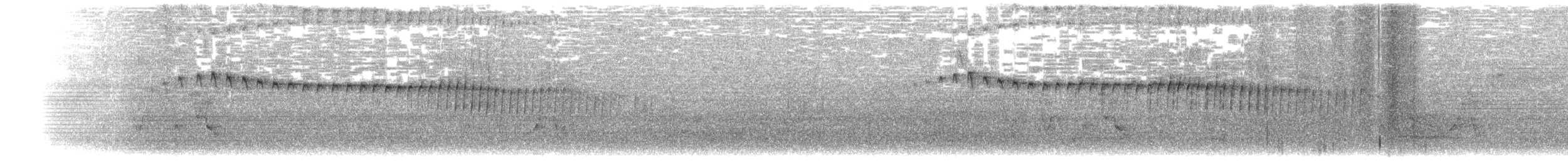 インキジヴィカザリドリ - ML203951661