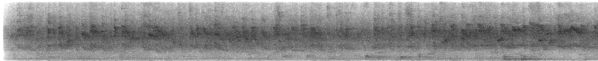 Indian Swiftlet - ML203951741