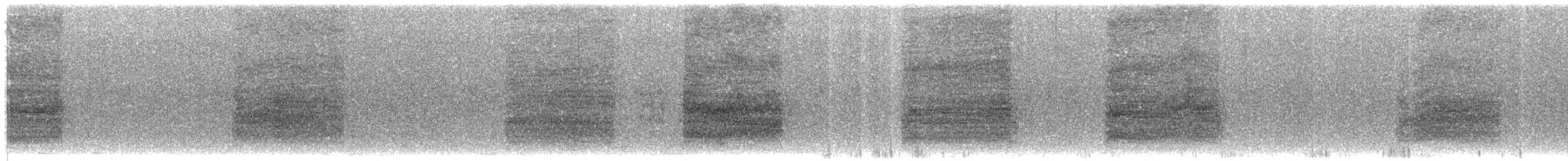 White-cheeked Starling - ML203951951