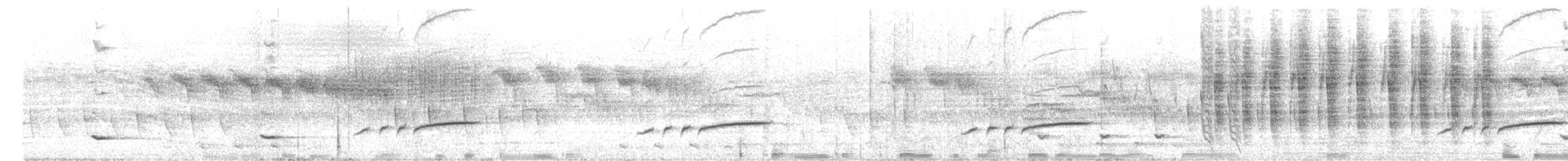 Kızıl Omuzlu Vanga - ML203951981