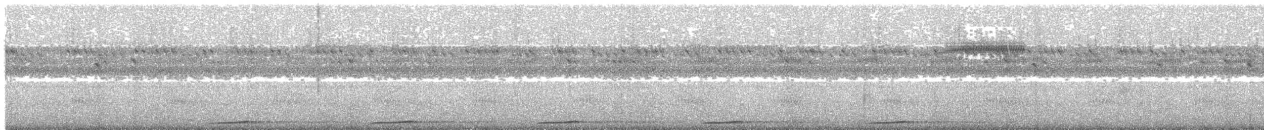 Сова-голконіг темнопера - ML203952071