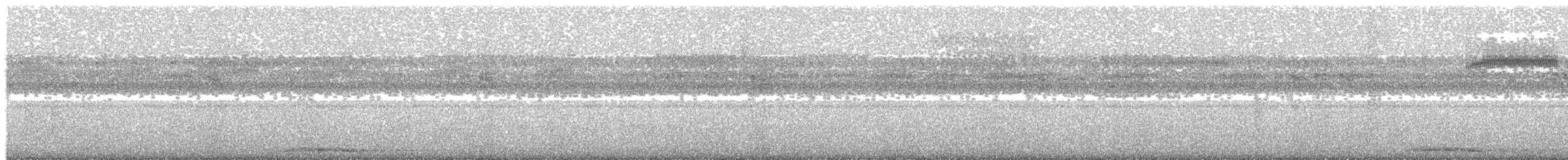 Андаманская иглоногая сова - ML203952081