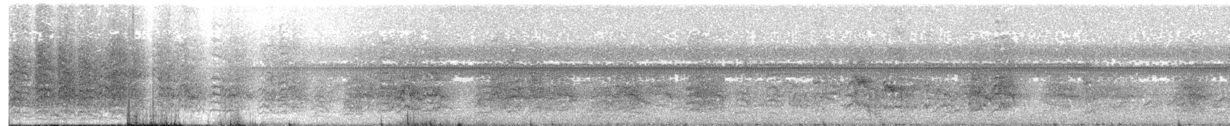 Aratinga de Wagler - ML203952211