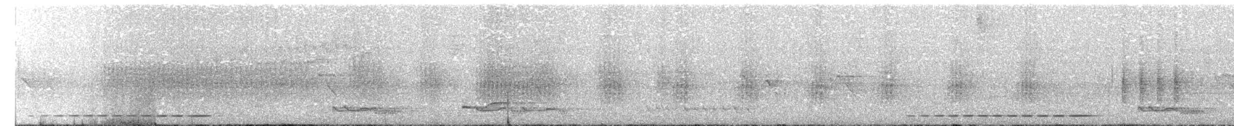Troglodyte rufalbin - ML203952331
